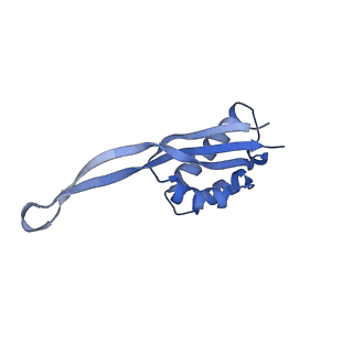 8107_5iqr_S_v1-1
Structure of RelA bound to the 70S ribosome