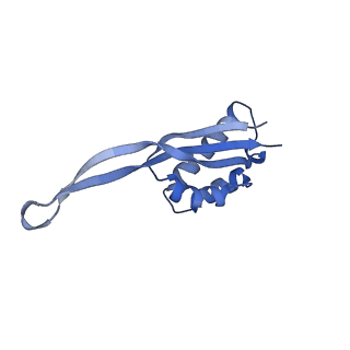 8107_5iqr_S_v2-1
Structure of RelA bound to the 70S ribosome