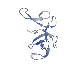 8107_5iqr_U_v1-1
Structure of RelA bound to the 70S ribosome