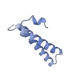8107_5iqr_Y_v1-1
Structure of RelA bound to the 70S ribosome