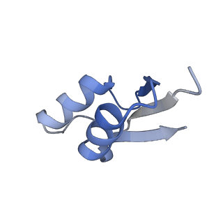 8107_5iqr_Z_v1-1
Structure of RelA bound to the 70S ribosome