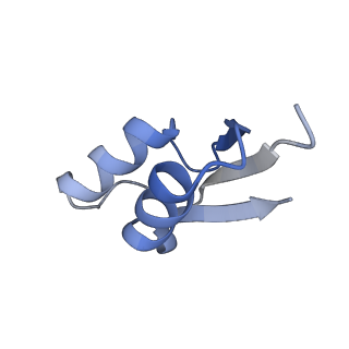 8107_5iqr_Z_v2-1
Structure of RelA bound to the 70S ribosome