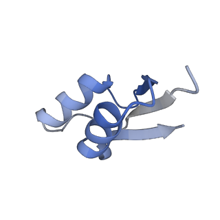 8107_5iqr_Z_v3-0
Structure of RelA bound to the 70S ribosome