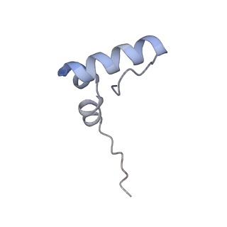 8107_5iqr_d_v1-1
Structure of RelA bound to the 70S ribosome