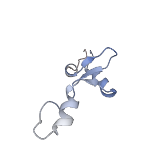 8107_5iqr_e_v1-1
Structure of RelA bound to the 70S ribosome