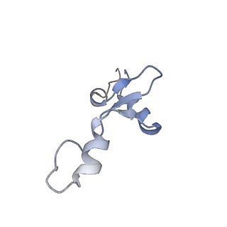 8107_5iqr_e_v2-1
Structure of RelA bound to the 70S ribosome