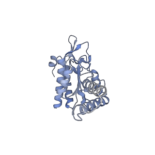 8107_5iqr_g_v1-1
Structure of RelA bound to the 70S ribosome