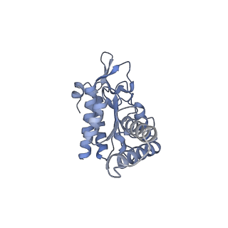 8107_5iqr_g_v2-1
Structure of RelA bound to the 70S ribosome