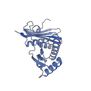 8107_5iqr_h_v1-1
Structure of RelA bound to the 70S ribosome