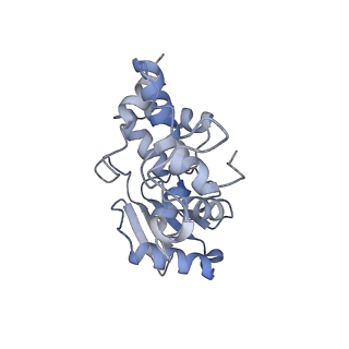 8107_5iqr_i_v1-1
Structure of RelA bound to the 70S ribosome
