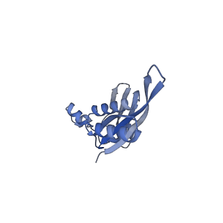 8107_5iqr_j_v1-1
Structure of RelA bound to the 70S ribosome