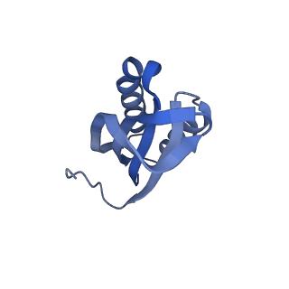 8107_5iqr_k_v1-1
Structure of RelA bound to the 70S ribosome