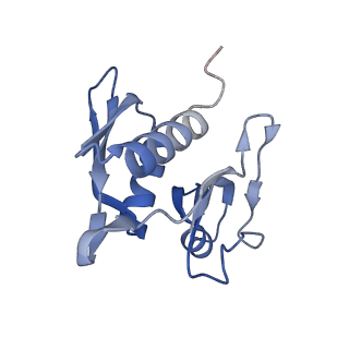 8107_5iqr_m_v1-1
Structure of RelA bound to the 70S ribosome