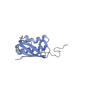 8107_5iqr_n_v1-1
Structure of RelA bound to the 70S ribosome