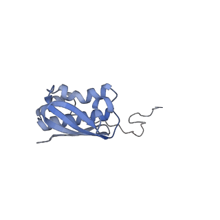 8107_5iqr_n_v3-0
Structure of RelA bound to the 70S ribosome