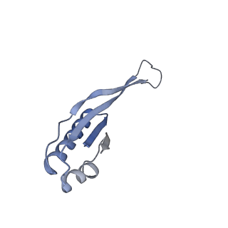 8107_5iqr_o_v1-1
Structure of RelA bound to the 70S ribosome