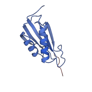 8107_5iqr_p_v2-1
Structure of RelA bound to the 70S ribosome