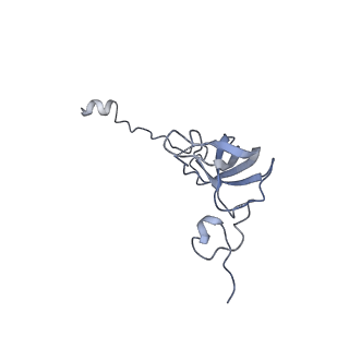 8107_5iqr_q_v1-1
Structure of RelA bound to the 70S ribosome