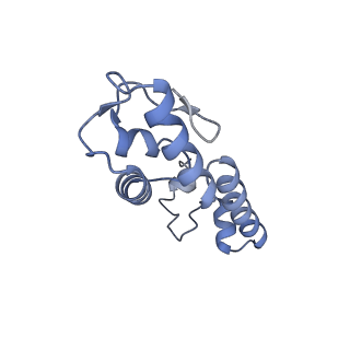 8107_5iqr_r_v1-1
Structure of RelA bound to the 70S ribosome