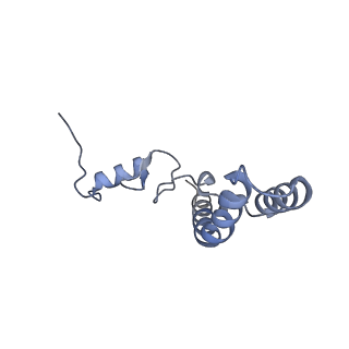 8107_5iqr_s_v1-1
Structure of RelA bound to the 70S ribosome