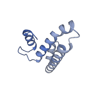 8107_5iqr_t_v1-1
Structure of RelA bound to the 70S ribosome