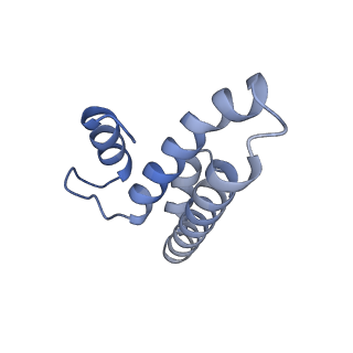 8107_5iqr_t_v3-0
Structure of RelA bound to the 70S ribosome