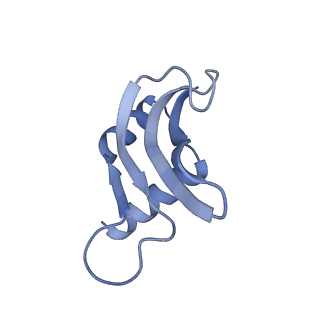 8107_5iqr_u_v1-1
Structure of RelA bound to the 70S ribosome