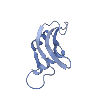 8107_5iqr_u_v2-1
Structure of RelA bound to the 70S ribosome
