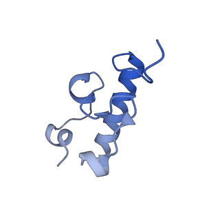 8107_5iqr_w_v1-1
Structure of RelA bound to the 70S ribosome