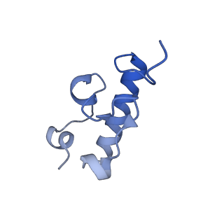 8107_5iqr_w_v2-1
Structure of RelA bound to the 70S ribosome