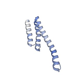 8107_5iqr_y_v1-1
Structure of RelA bound to the 70S ribosome