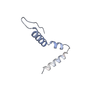 8107_5iqr_z_v1-1
Structure of RelA bound to the 70S ribosome
