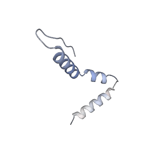 8107_5iqr_z_v2-1
Structure of RelA bound to the 70S ribosome