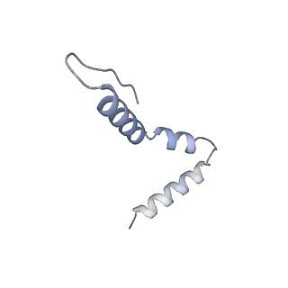 8107_5iqr_z_v3-0
Structure of RelA bound to the 70S ribosome