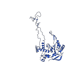 35673_8ir3_D_v1-1
human nuclear pre-60S ribosomal particle - State B'