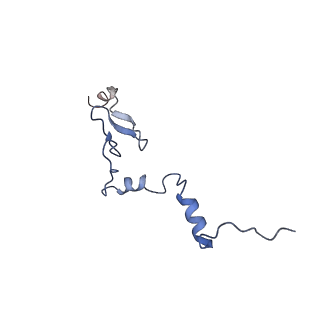 35673_8ir3_M_v1-1
human nuclear pre-60S ribosomal particle - State B'