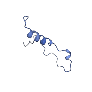 35673_8ir3_P_v1-1
human nuclear pre-60S ribosomal particle - State B'