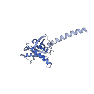 35683_8irr_A_v1-2
Dopamine Receptor D1R-Gs-Rotigotine complex