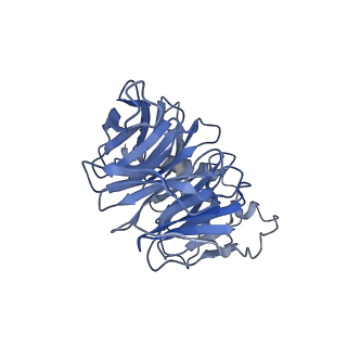 35683_8irr_B_v1-2
Dopamine Receptor D1R-Gs-Rotigotine complex