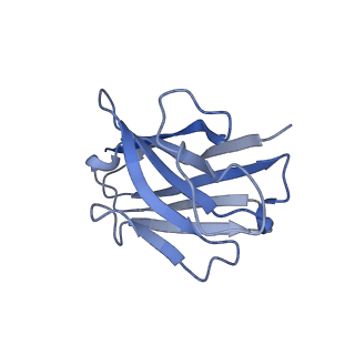 35683_8irr_N_v1-2
Dopamine Receptor D1R-Gs-Rotigotine complex