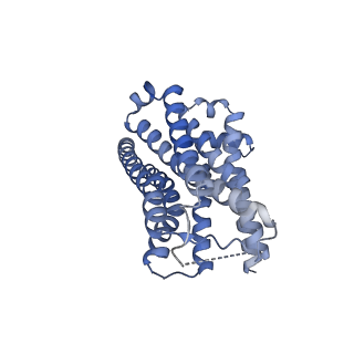 35683_8irr_R_v1-2
Dopamine Receptor D1R-Gs-Rotigotine complex