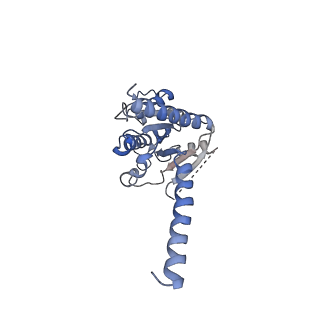 35684_8irs_A_v1-2
Dopamine Receptor D2R-Gi-Rotigotine complex