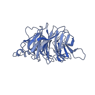 35684_8irs_B_v1-2
Dopamine Receptor D2R-Gi-Rotigotine complex