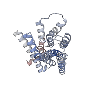 35684_8irs_R_v1-2
Dopamine Receptor D2R-Gi-Rotigotine complex