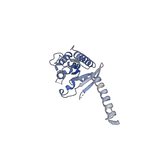 35685_8irt_A_v1-2
Dopamine Receptor D3R-Gi-Rotigotine complex