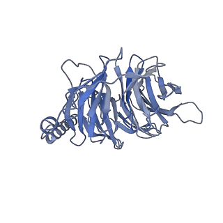 35685_8irt_B_v1-2
Dopamine Receptor D3R-Gi-Rotigotine complex