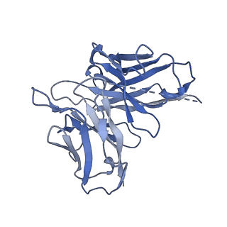 35685_8irt_E_v1-2
Dopamine Receptor D3R-Gi-Rotigotine complex