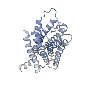 35685_8irt_R_v1-2
Dopamine Receptor D3R-Gi-Rotigotine complex
