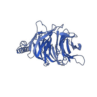 35686_8iru_B_v1-2
Dopamine Receptor D4R-Gi-Rotigotine complex