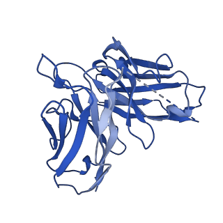 35686_8iru_E_v1-2
Dopamine Receptor D4R-Gi-Rotigotine complex